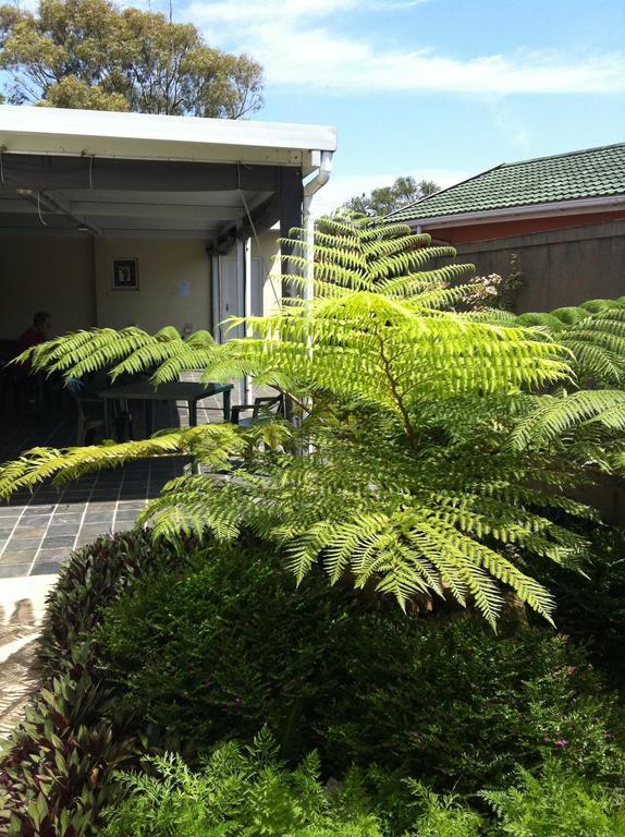 The Crescent Guesthouses - Bnb/Self Catering Durban Exterior photo